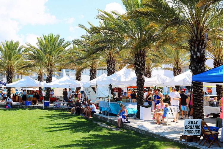 Shop the Farmer's Markets