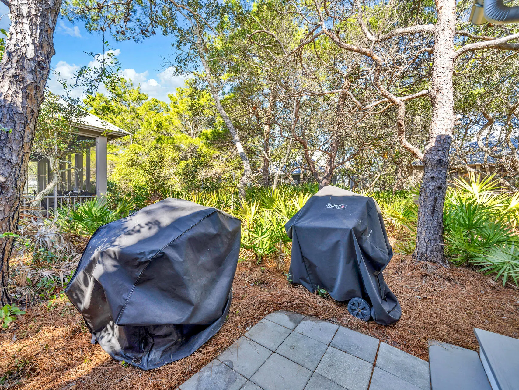 Propane and Charcoal Grills